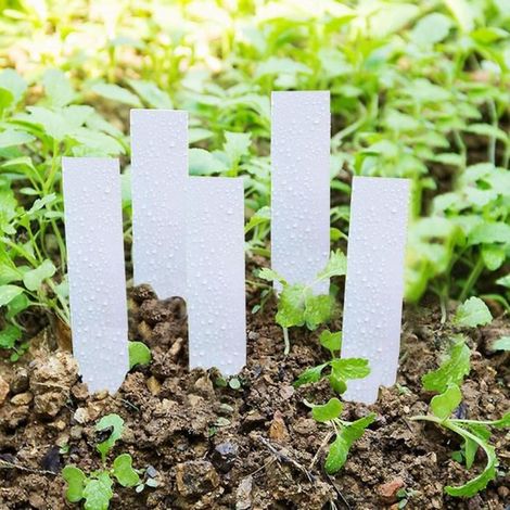 Étiquettes de plantes - - 100 pcs - PVC - Blanc - 10 x 2 cm (1/4)