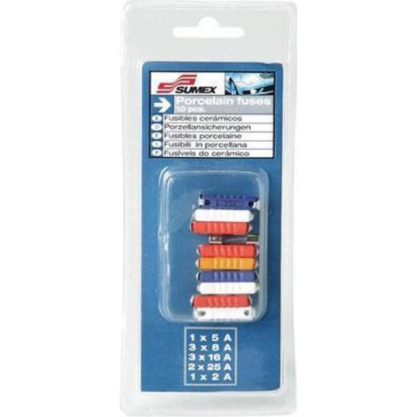 10 Fusibles en ceramique - 1x5A 3x8A 3x16A 3x25A 1x2A