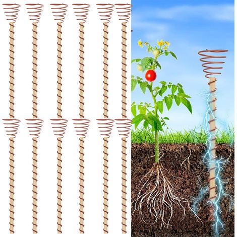 Pack de 12 tuteurs pour plantes d'électroculture, antenne bobine de cuivre d'électroculture pour plantation, 30 cm (1/5)