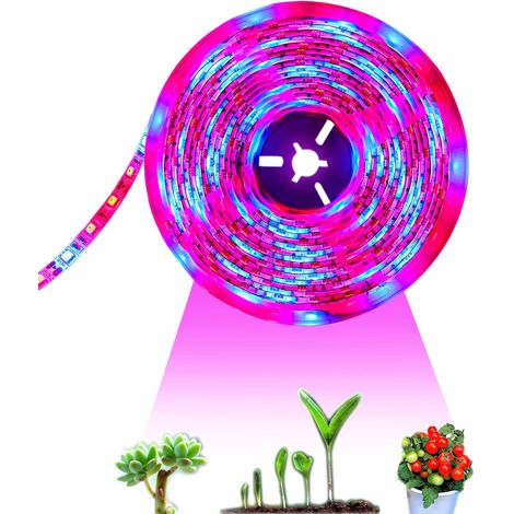 Bande LED de croissance étanche IP65, spectre complet, SMD 5050 rouge/bleu 3:1, alimentation 12 V CC-AquaForge (1/5)
