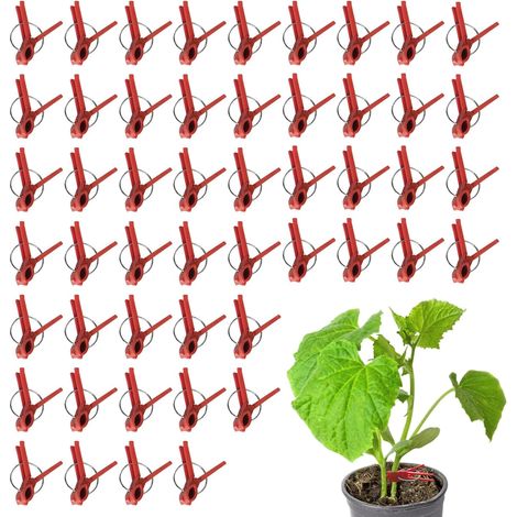 für Pfropfpflanzen elastische Kupplungen botanische