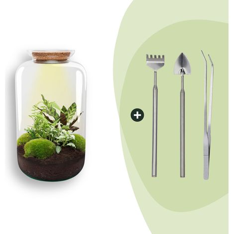 Terrarium Plante DIY avec Lumière Écosystème Autonome Kit Complet Ø 23 x 43 cm - PANGIVO (1/2)