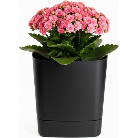 CUBI Recycling-Blumentopf mit Untersetzer, schwarz, 19 x 19 cm