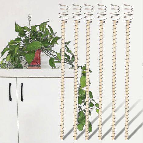 Lot de 6 tuteurs pour plantes, tuteurs d'électroculture de 30 cm avec antennes en bobine de cuivre pour la culture de plantes d'intérieur et de jardin
