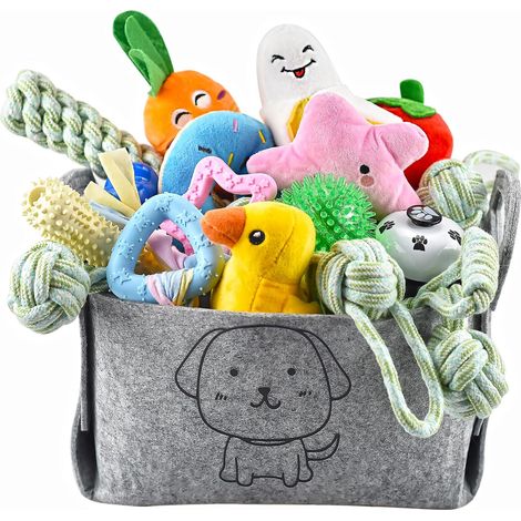 Lot de 24 Jouets pour Chiots, Jouets de Dentition pour Chiots avec boîte de Rangement, à mâcher pour Chiens et couinants pour Chiens de Petite et Moyenne Taille (1/5)