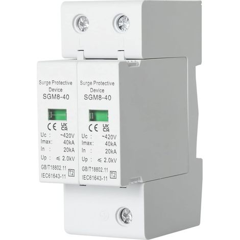 Dispositif de Protection Contre Les Surtensions, 1 Pièces 220V 2P 40KA Dispositif de Parafoudre Basse Tension de Protection Contre Les Surtensions pour la Protection Contre la Foudre (1/5)
