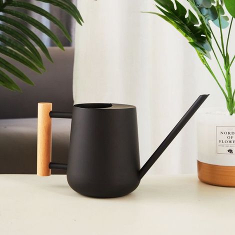 Arrosoir - Acier Inoxydable - 350 ml - Bec Long Et Étroit - Pour Plantes Intérieures Et Jardin - 1 Pièce (1/3)