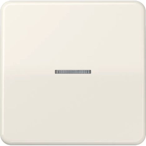 Jung Wippe Lichtleiter ws für Taster CD 590 KO5 (1/2)