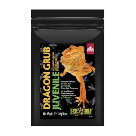 Exo Terra Dragon Grub Juvenil, 125g