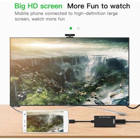 Adaptateur Type C et Micro USB Mâle à Femelle HDMI pour Téléphone Portable Tablette TV - Noir (1/4)