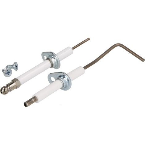 Electrode d'ionisation