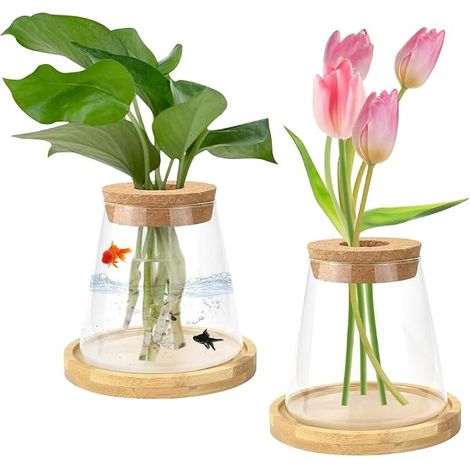 pots en verre transparent, stations de propagation des plantes avec bouchon et plateau bois, à fleurs pour culture hydroponique, ornementales (1/5)