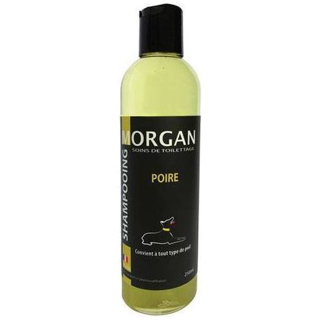 Shampoing protéiné Poire Morgan : 250ml