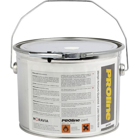Moravia Peinture de marquage pour hall PROline-paint 5 l blanc RAL 9016 (1/5)