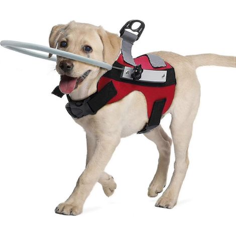 Blindenhund-Führungsgeschirr, Blindenhund-Halo, Haustier-Antikollisionsring zum Schutz von Katzen und Hunden mit Blindheit und verschwommenem Sehen (rot, Größe M) (1/5)