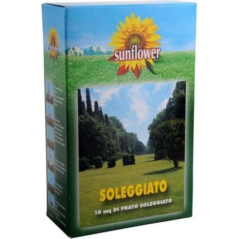 Graines de pelouse ensoleillée, 0,25 kg Tournesol