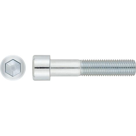 VITE ALLEN DIN912 8.8 ZN. - M12X45