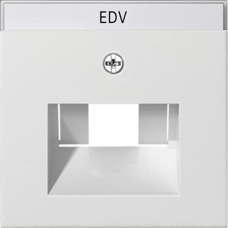 Abdeckung RJ45 Dosen 1 und 2fach + BSF System 55 reinweiß matt 028427 (1/2)