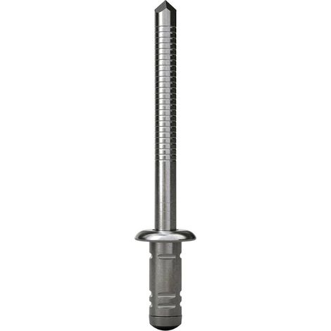 Gesipa  1433929 Rivetto Acciaio Acciaio 250 pz. (1/4)