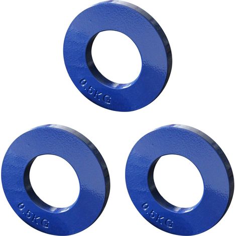 3X Poids Fractionnaires Poids Fractionnaires Mini Plaques de Poids Plaques de Musculation Accessoire de Disque Précis Bleu 0.5Kg (1/5)