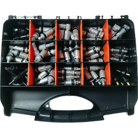 Kit de capteur de pression des pneus TPMS, capteur de vide, embout de capteur de vide, valve de gonflage (1/5)