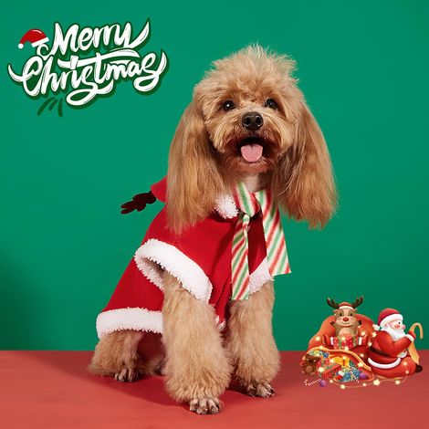 Costume di Natale per cani e gatti, vestito di Natale con sciarpa, accessorio per animali domestici, vestiti rossi, regalo, decorazione natalizia per cani e gatti di piccola e media taglia (M) (1/4)