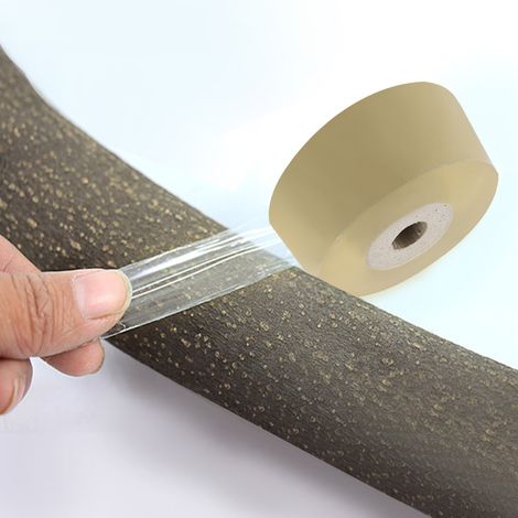rouleau de ruban adhésif flexible et extensible transparent pour greffage, idéal pour le jardin (3 cm). (1/5)