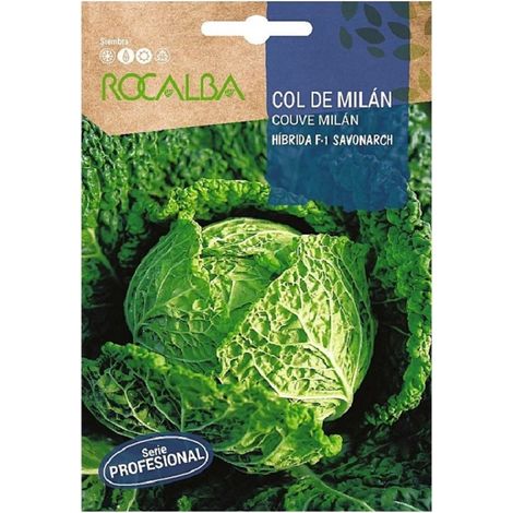 Rokalba Col Milan Savonarch F-1 80 Samen
