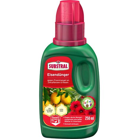 Substral Eisendünger 250 ml Zierpflanzen Rasendünger Dünger (1/5)