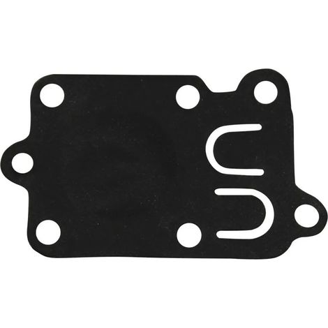 Membrane de carburateur Briggs & Stratton 272538 270026 272637 précision (1/2)