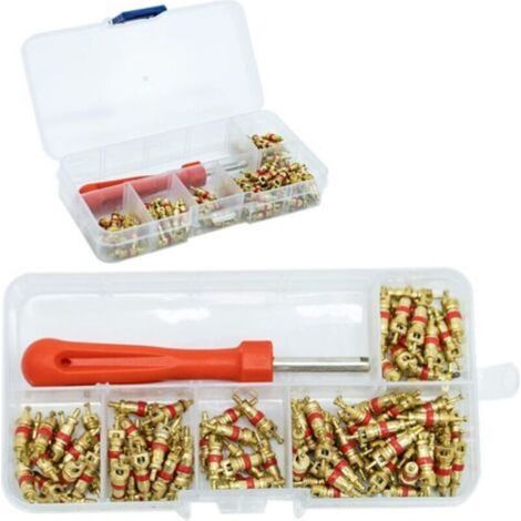 100Pcs Demonte Valve Pneu Outil Démonte obus de Valve Outil de Reparation avec 100Pcs Valve Core pour Voiture Remplacement, 4-1 Outil de Réparation de Valve de Pneu, Démonte Valve Pneu (1/5)