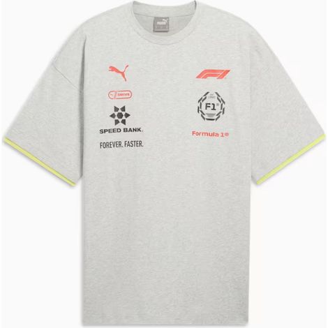 Puma F1 RACING Herren-T-Shirt grau 63224501 r M