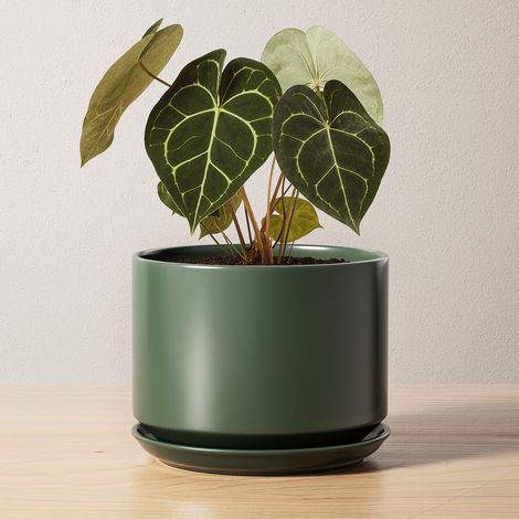 Pot de Fleurs en Céramique 17 cm, Pot de Fleurs avec Soucoupe Intégrée et Trou de Drainage, Petit Cache-Pot Moderne, Robuste et Durable pour Décoration Maison et Bureau, Finition Mate, Vert (1/5)
