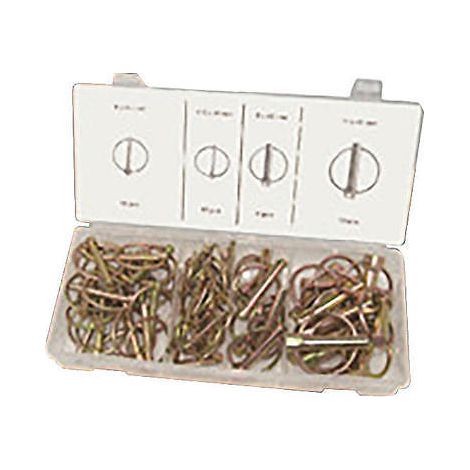 SPINE SPINA A SCATTO COPPIGLIE FERMI PERNI SPINOTTI MM 5-6-8-11 BLISTER 50 PZ