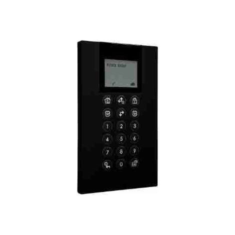 RW432KPP8B2A Teclado de radio bidireccional Panda Negro RISCO RW432KPP8B2A Alarma antirrobo Intrusión