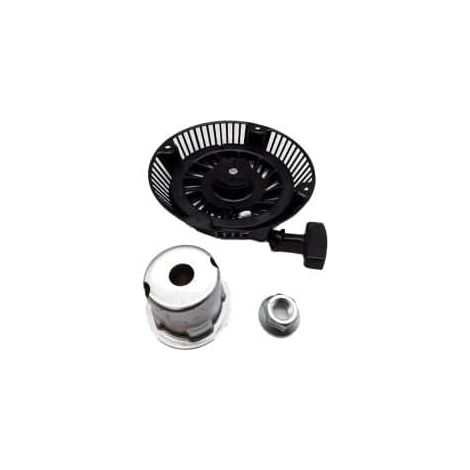Original BRIGGS & STRATTON Motor-Vergaser-Anlasser 694991