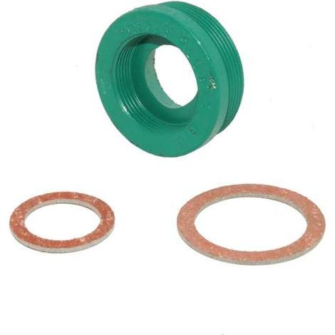 Wilo Adapter Paßstück Gewindepaßstück R13 110788397