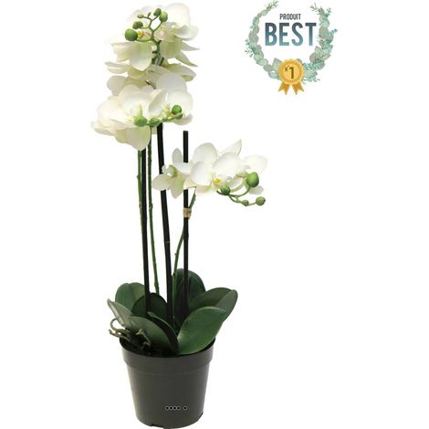 Orchidée Phalaenopsis factice pot 3 hampes de qualité H60cm Crème-BEST - couleur: Crème