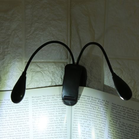 Lampe de lecture flexible à 2 bras doubles avec pince et 4 LED pour tablette. (1/5)