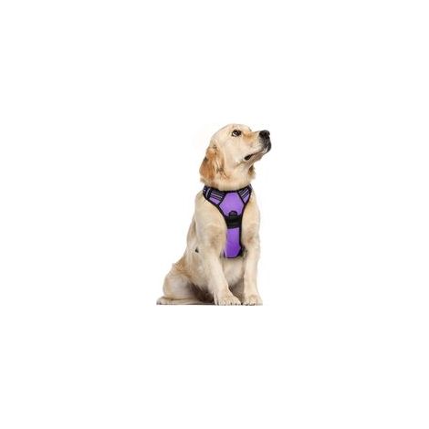 Harnais chien anti-traction violet XL, gilet réfléchissant réglable, attache devant, pour grand chien, American Staff, Border Collie, trajet voiture –