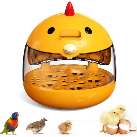 Incubateur d'œufs pour l'éclosion de poussins, retourneur d'œufs automatique, mire-œufs pour petites volailles canards cailles œufs, incubateur intelligent fenêtre transparente 360° avec