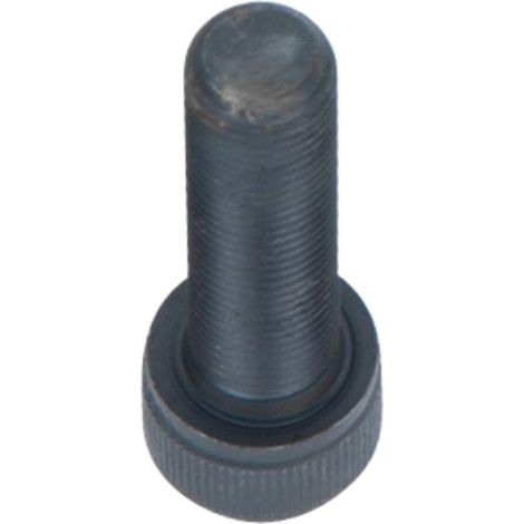 Führungsbolzen, Ø 10 mm (1/2)