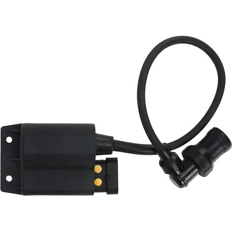 Module de bobine d'allumage, boîtier de bobine d'allumage CDI pour moteur Vespa LX 50 2T 4T 2005 (1/5)