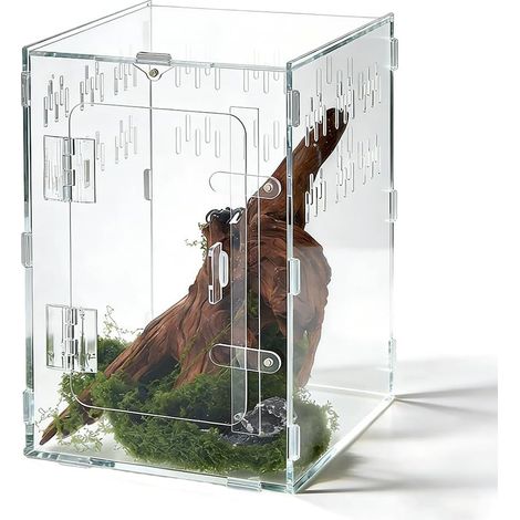 1 terrarium en acrylique transparent pour reptiles - Terrarium d'élevage - Pour petits reptiles, araignées, amphibiens (1/5)