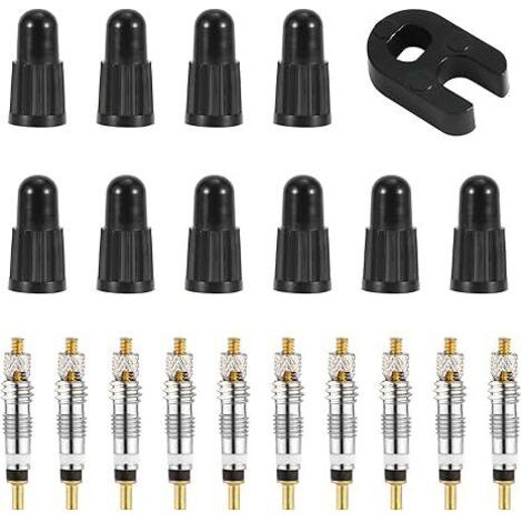 Kit de réparation de noyau de valve Presta, avec 10 noyaux tubeless en laiton de remplacement pour vélo, avec outil de retrait de noyau de valve, pour pneus tubeless de route et de VTT