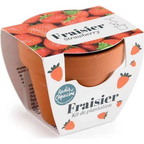 Mini kit 6 cm - Fraise (1/4)