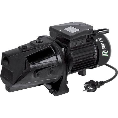 Pompe de Surface 1800W - Corps Long - Débit 100 L/min - Performance Élevée et Fiabilité - D-Work