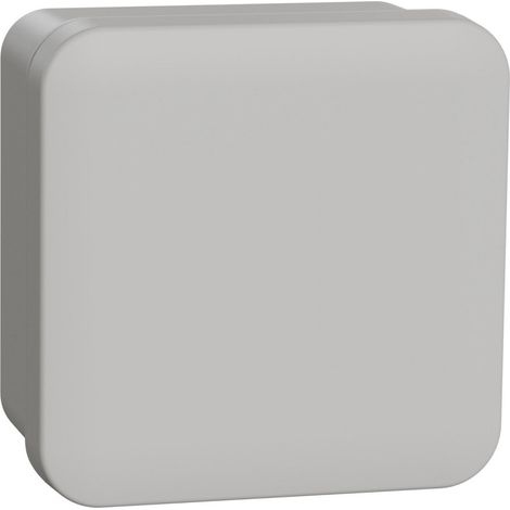 Boîte de dérivation face lisse 80 x 80 x 45 mm en saillie - Schneider Electric (1/3)