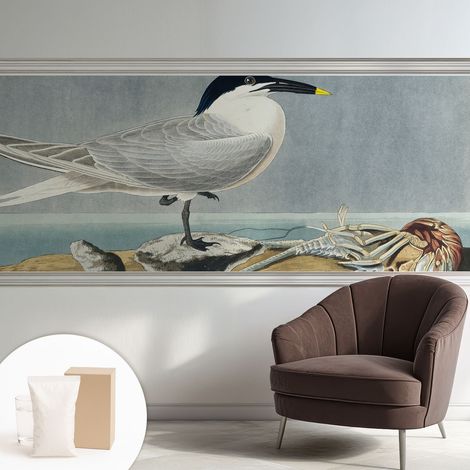 Carta Da Parati - Murale Alla Moda Decorazione - Camera Da Letto - Con Colla Gratuita Eleganza ornitologica 250x104 cm (1/5)
