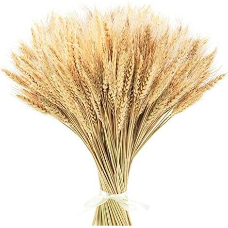 Tiges De Blé Séchées - 17 7 Cm - 400 Tiges - 100 % Naturelles - Pour Décoration Intérieure Centre De Table Mariage Récolte Couronne DIY (1/5)